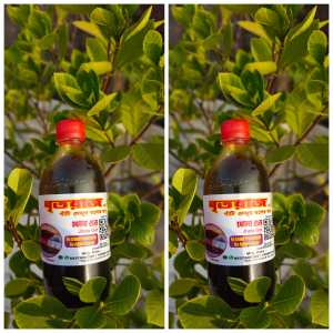 Ghritoraj Special Nolen Gur 2kg Combo Pack 